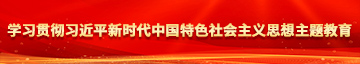 男人艹女人欧美日韩学习贯彻习近平新时代中国特色社会主义思想主题教育